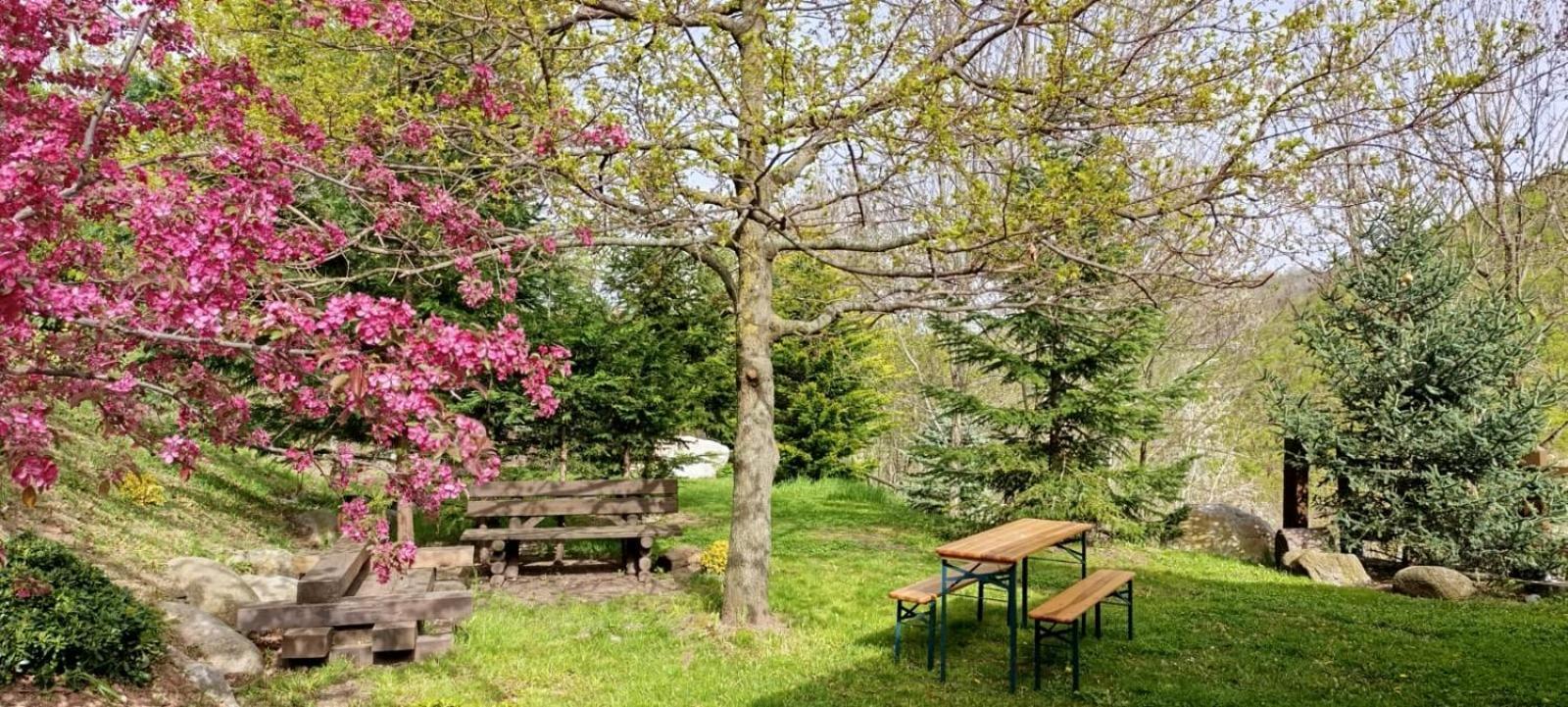 Villa Les Pedres Camprodon Exterior foto
